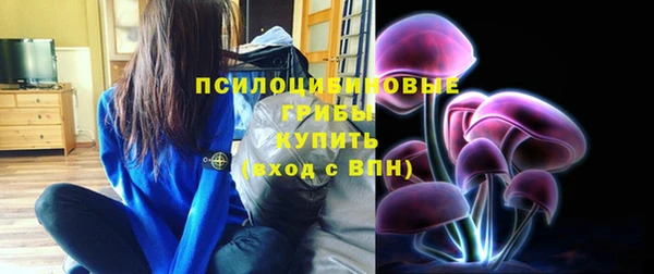 сатива Семикаракорск