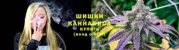 сатива Семикаракорск