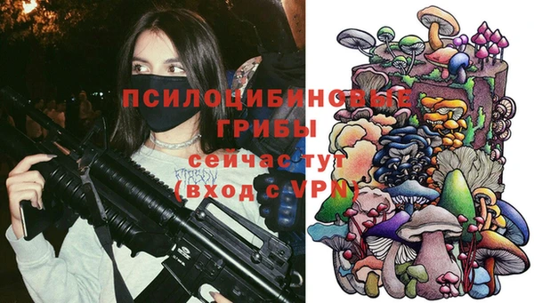 сатива Семикаракорск