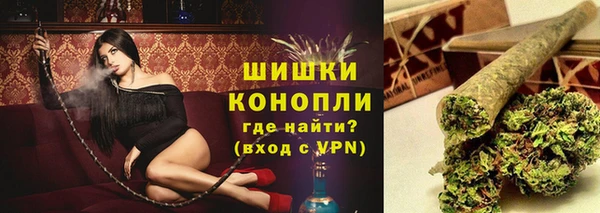 МДПВ Семёнов
